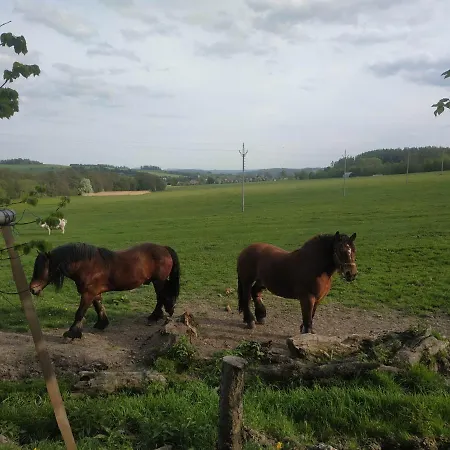 Сasa de vacaciones Na Zemi 211, Andělská Hora, Jeseníky